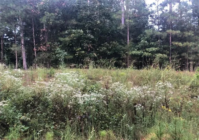 Photo 3 of Land for sale at 203 Wilson Creek Dr Dr, Iva, SC 29655 | MLS# 20292685 | Listing updated on 2026-03-11