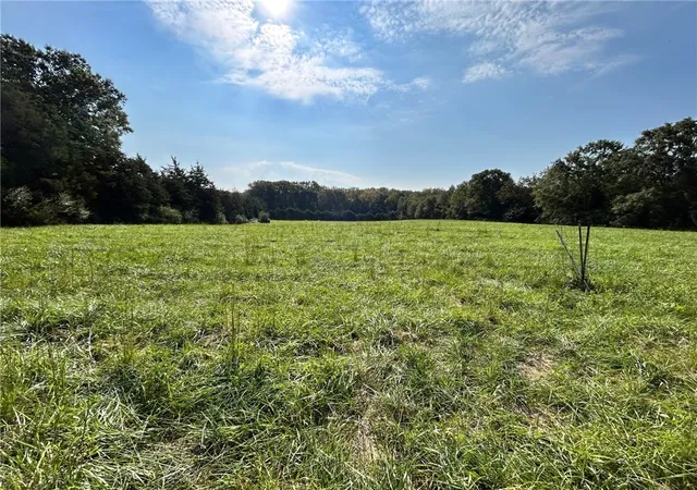 9th image of 00 Williams Rd, Pelzer, SC 29669 | MLS# 20292732