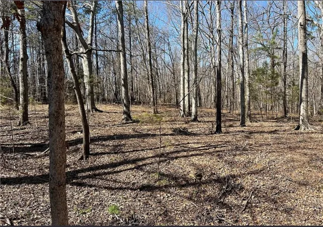 Photo 3 of Land for sale at 0 Dunlap Rd, Anderson, SC 29621 | MLS# 20293088 | Listing updated on 2026-07-01