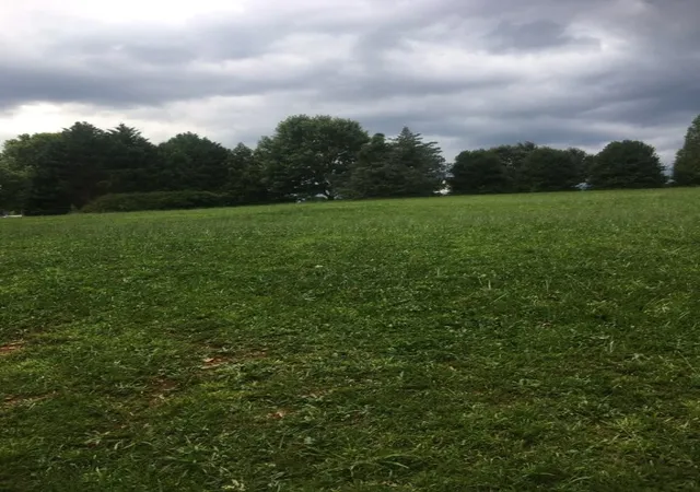 Photo 2 of Residential Lot at 0 Lakeview Dr, Greenville, SC 29611 | MLS# 20293167 | | Sold on 2026-01-21