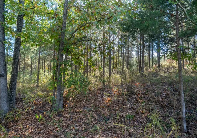 Photo 2 of Land for sale at 735 Gwinn Ml Rd, Pauline, SC 29374 | MLS# 20293838 | Listing updated on 2026-04-03