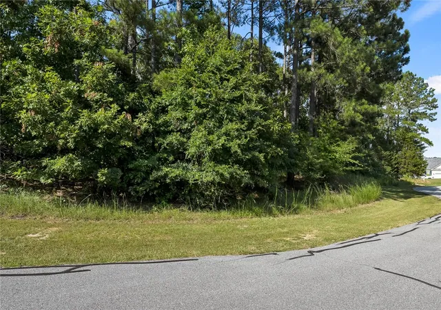 Photo 3 of Land for sale at 103 Free Brg Ct, Hodges, SC 29653 | MLS# 20294470 | Listing updated on 2026-04-08