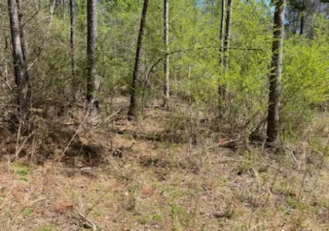 Photo 1 of Land for sale at 00 Eleanore Dr, West Union, SC 29696 | MLS# 20294551 | Listing updated on 2026-08-02