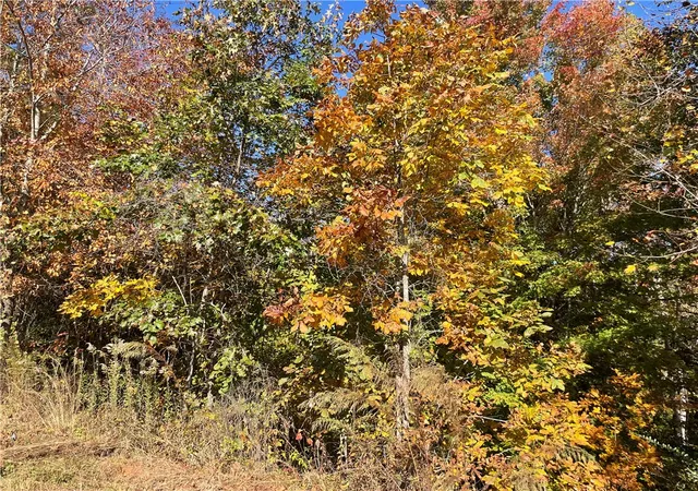 5th image of Lot 19 Twin View Dr, Westminster, SC 29693 | MLS# 20294762