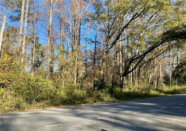 3rd image of 00 Ervin St, Honea Path, SC 29654 | MLS# 20294761