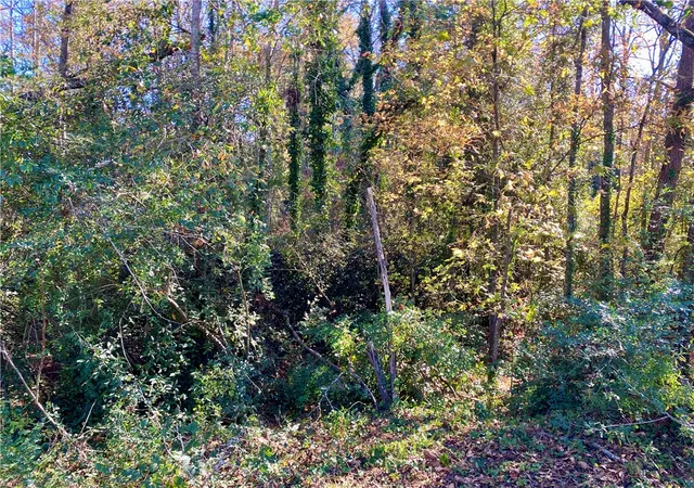 4th image of 00 Ervin St, Honea Path, SC 29654 | MLS# 20294761
