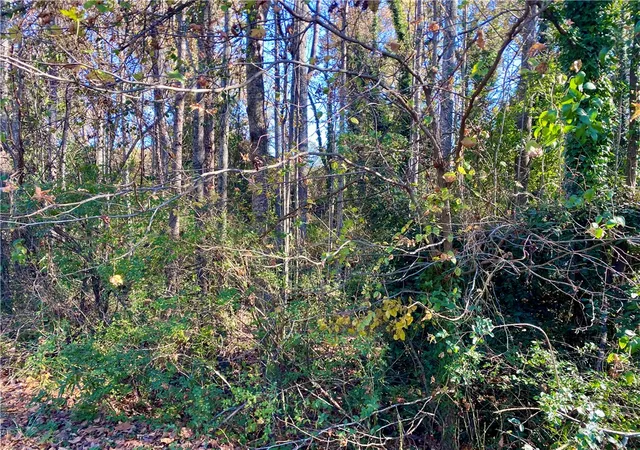 5th image of 00 Ervin St, Honea Path, SC 29654 | MLS# 20294761