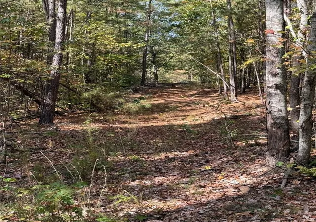 14th image of 0 Hunters Trl, Anderson, SC 29625 | MLS# 20294810