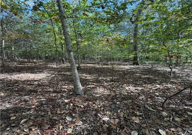 5th image of 0 Hunters Trl, Anderson, SC 29625 | MLS# 20294810