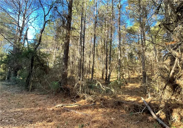 31st image of 0 Prater Farm Rd, Seneca, SC 29678 | MLS# 20294840