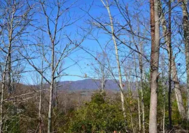 1st image of 1130 Packs Mountain Ridge Rd, Taylors, SC 29687 | MLS# 20294979
