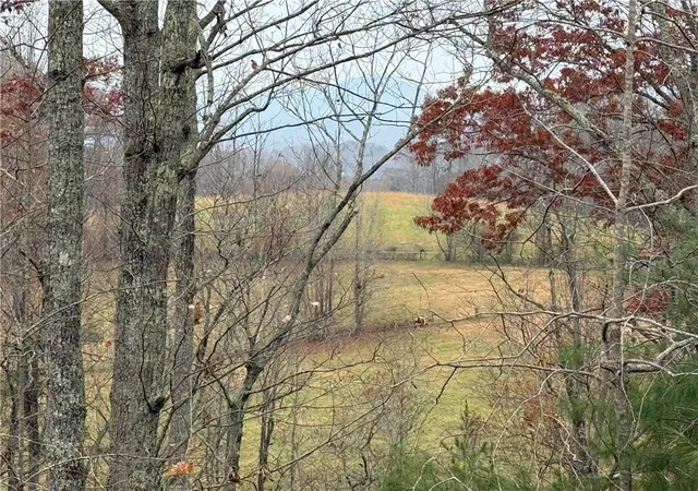 Photo 4 of Land for sale at 1130 Packs Mountain Ridge Rd, Taylors, SC 29687 | MLS# 20294979 | Listing updated on 2026-08-30