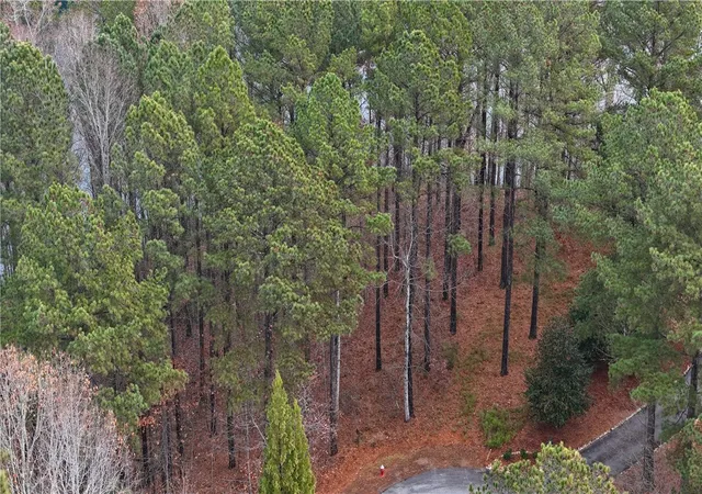 3rd image of 917 Rippling Water Way, Salem, SC 29676 | MLS# 20295200