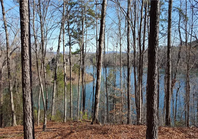 4th image of 917 Rippling Water Way, Salem, SC 29676 | MLS# 20295200