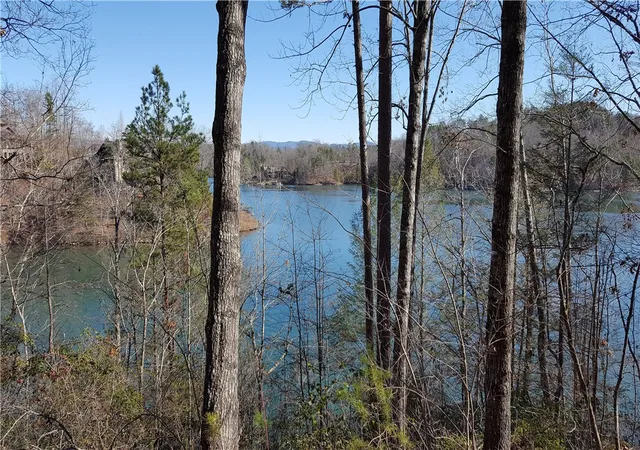 5th image of 917 Rippling Water Way, Salem, SC 29676 | MLS# 20295200