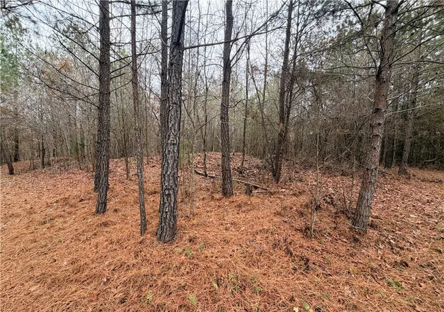 11th image of 00 Cardinal Dr, Easley, SC 29642 | MLS# 20295287