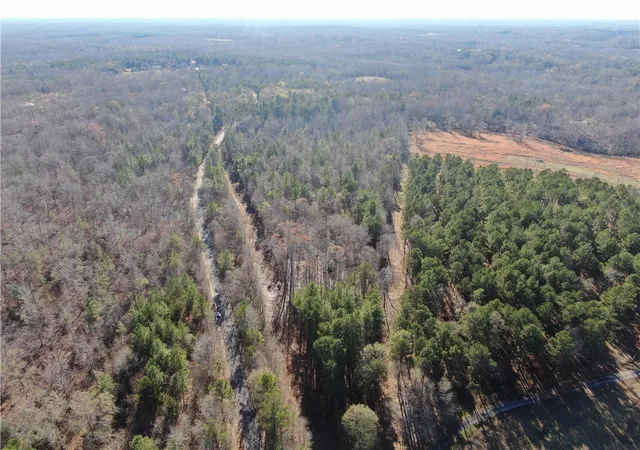 18th image of 00 Scott Ln, Pelzer, SC 29669 | MLS# 20295356