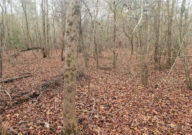 3rd image of 00 Scott Ln, Pelzer, SC 29669 | MLS# 20295356