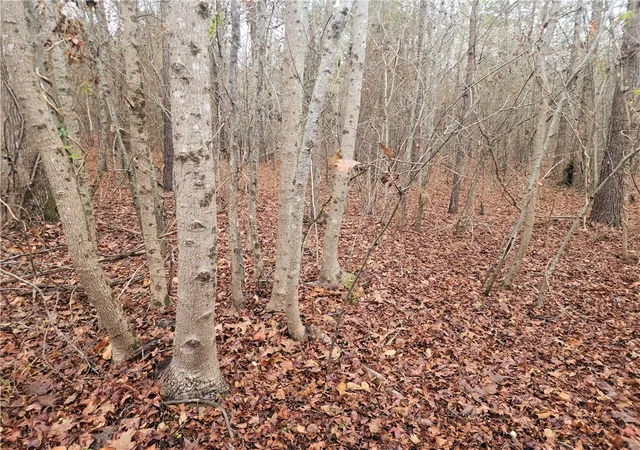 4th image of 00 Scott Ln, Pelzer, SC 29669 | MLS# 20295356