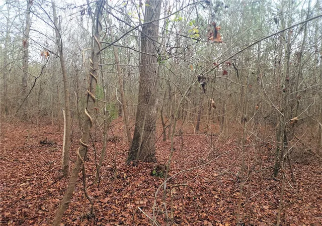 5th image of 00 Scott Ln, Pelzer, SC 29669 | MLS# 20295356