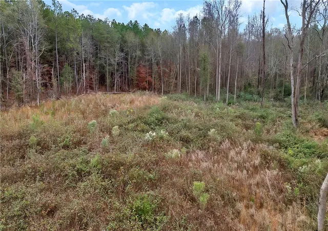 Photo 3 of Land for sale at 00 Highway 29 S, Anderson, SC 29626 | MLS# 20295351 | Listing updated on 2026-06-29