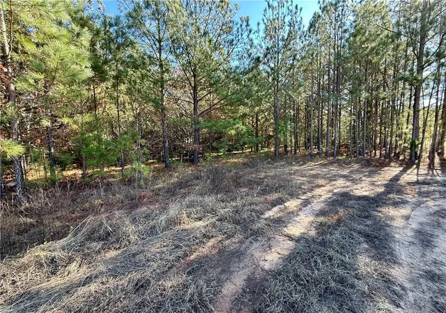 Homes for sale in Mc Cormick, SC | 00 W 378 Hwy, Mc Cormick, SC 29835 | MLS# 20295559