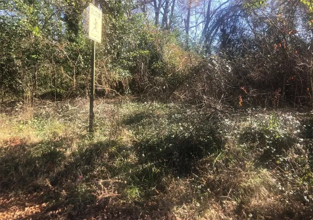 Photo 3 of Land for sale at 517 Poplar St, Abbeville, SC 29620 | MLS# 20295584 | Listing updated on 2026-06-17