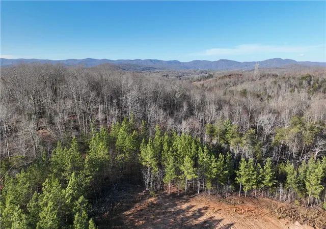 35th image of 38 Old Plantation Rd, Travelers Rest, SC 29690 | MLS# 20295610
