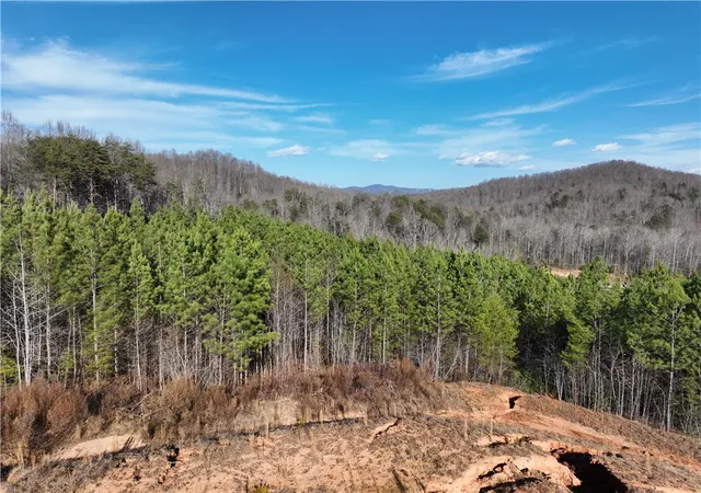 5th image of 38 Old Plantation Rd, Travelers Rest, SC 29690 | MLS# 20295610