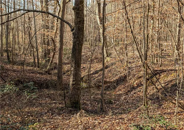 Photo 47 of Single family home for sale at 2475 Pumpkintown Hwy, Pickens, SC 29671 | MLS# 20295490 | Listing updated on 2026-06-25