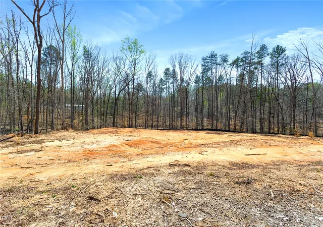 Homes for sale in Westminster, SC | 605 Elizabeth (Lot 3) Rd, Westminster, SC 29693 | MLS# 20295919