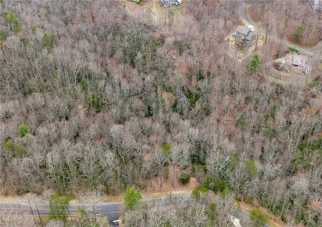 3rd image of 24 Blazing Star Trl, Landrum, SC 29356 | MLS# 20296202