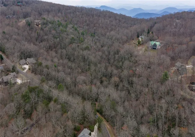 4th image of 24 Blazing Star Trl, Landrum, SC 29356 | MLS# 20296202