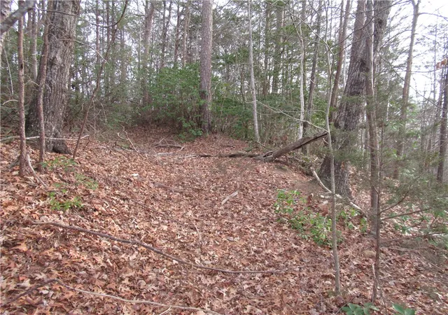 Photo 1 of Land for sale at 00 Lone Rock Ct, Pickens, SC 29671 | MLS# 20296351 | Listing updated on 2026-01-14