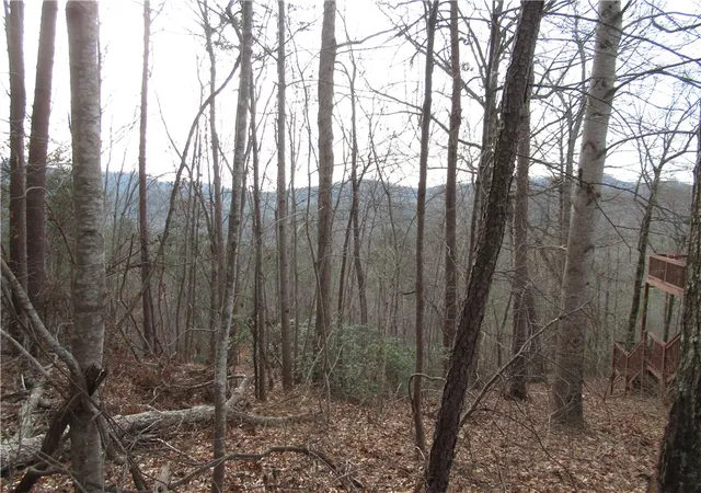 Photo 2 of Land for sale at 00 Lone Rock Ct, Pickens, SC 29671 | MLS# 20296351 | Listing updated on 2026-01-14