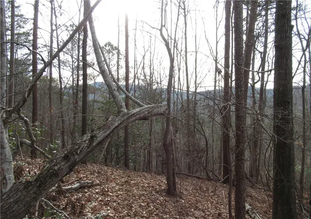 Photo 3 of Land for sale at 00 Lone Rock Ct, Pickens, SC 29671 | MLS# 20296351 | Listing updated on 2026-01-14