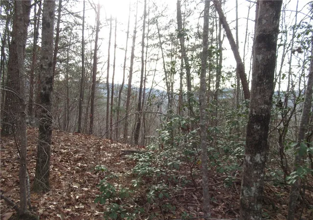 Photo 4 of Land for sale at 00 Lone Rock Ct, Pickens, SC 29671 | MLS# 20296351 | Listing updated on 2026-01-14