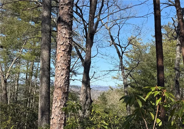 Photo 2 of Land for sale at 318 Ginseng Dr, Sunset, SC 29685 | MLS# 20296664 | Listing updated on 2026-07-28