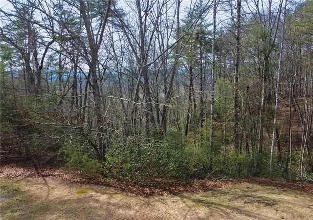 Photo 3 of Land for sale at 318 Ginseng Dr, Sunset, SC 29685 | MLS# 20296664 | Listing updated on 2026-07-28