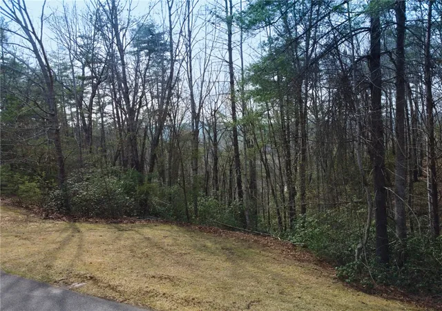 Photo 4 of Land for sale at 318 Ginseng Dr, Sunset, SC 29685 | MLS# 20296664 | Listing updated on 2026-07-28
