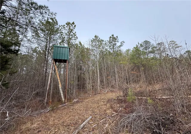 Photo 1 of Land for sale at 136 Highway 28 S, Abbeville, SC 29620 | MLS# 20296896 | Listing updated on 2026-04-08