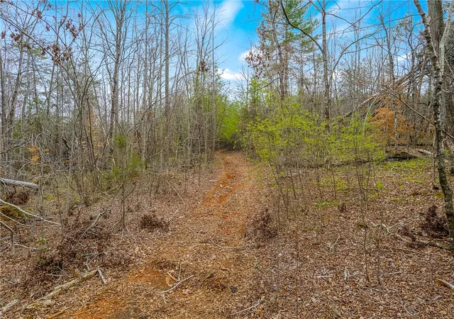 5th image of 0000028A Tubbs Mountain Rd, Travelers Rest, SC 29690 | MLS# 20296934