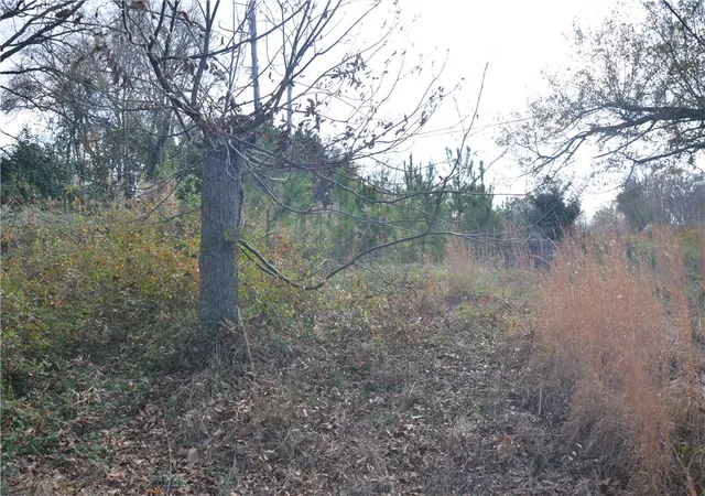 Photo 3 of Land for sale at 308 Oak Dr, Iva, SC 29655 | MLS# 20297170 | Listing updated on 2026-07-27