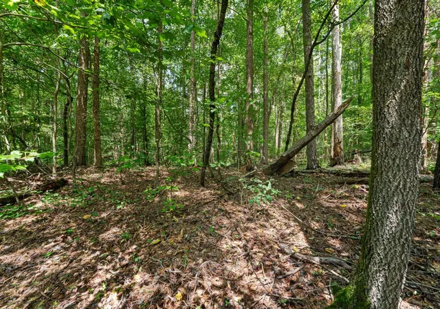Photo 4 of Land for sale at Lot 1111 Bunker Ln, Westminster, SC 29693 | MLS# 20297086 | Listing updated on 2026-02-22