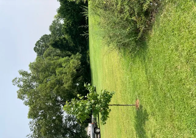 Photo 1 of Land for sale at 302 Bleckley St, Anderson, SC 29625 | MLS# 20297414 | Listing updated on 2026-02-15