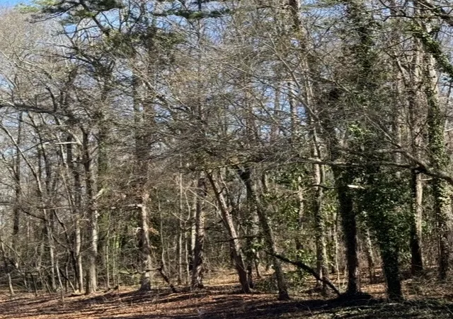 Photo 1 of Land for sale at Lot 1 C Greenville St, Anderson, SC 29621 | MLS# 20297452 | Listing updated on 2026-04-22