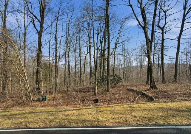 Photo 1 of Land for sale at 116 Witch Hazel Trl, Landrum, SC 29356 | MLS# 20297640 | Listing updated on 2026-05-29