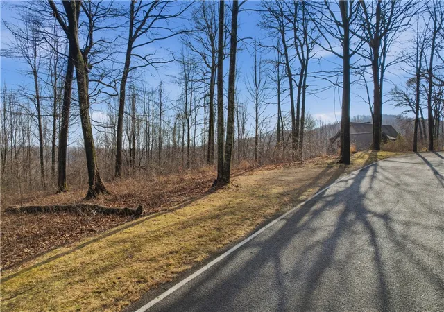 Photo 2 of Land for sale at 116 Witch Hazel Trl, Landrum, SC 29356 | MLS# 20297640 | Listing updated on 2026-05-29