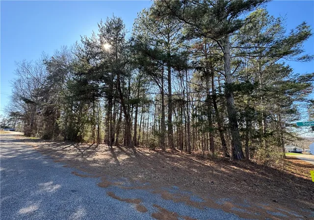 Homes for sale in Townville, SC | 94 Dogwood Farms Ct, Townville, SC 29689 | MLS# 20297712
