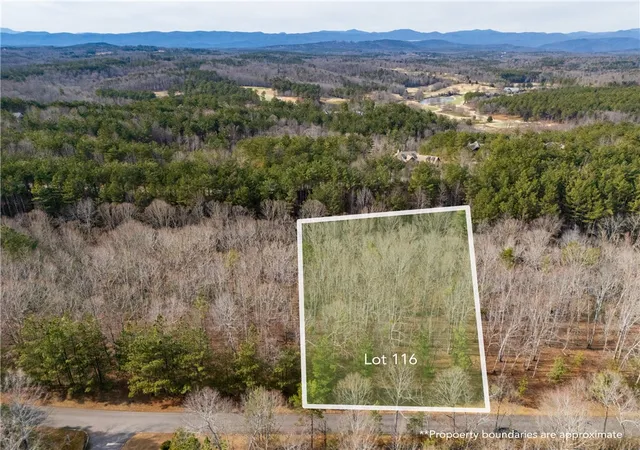 14th image of Lot 116 Pine Harbor Wy, Salem, SC 29676 | MLS# 20297604